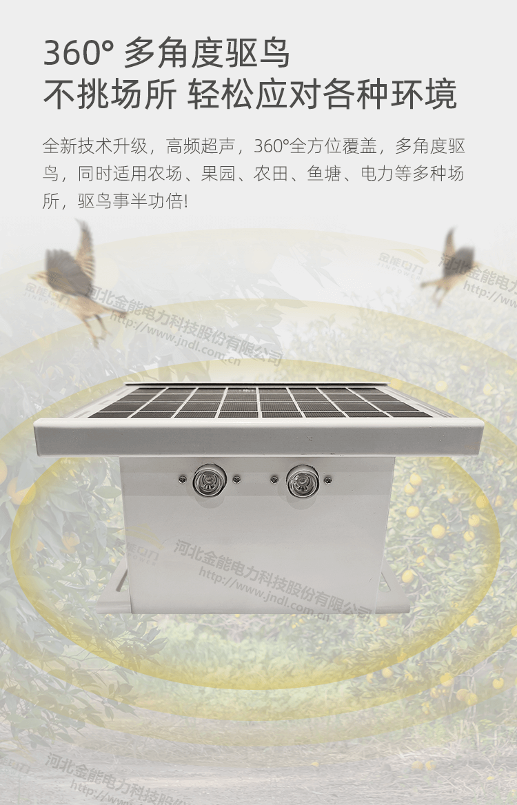 1-23122010462R64.png