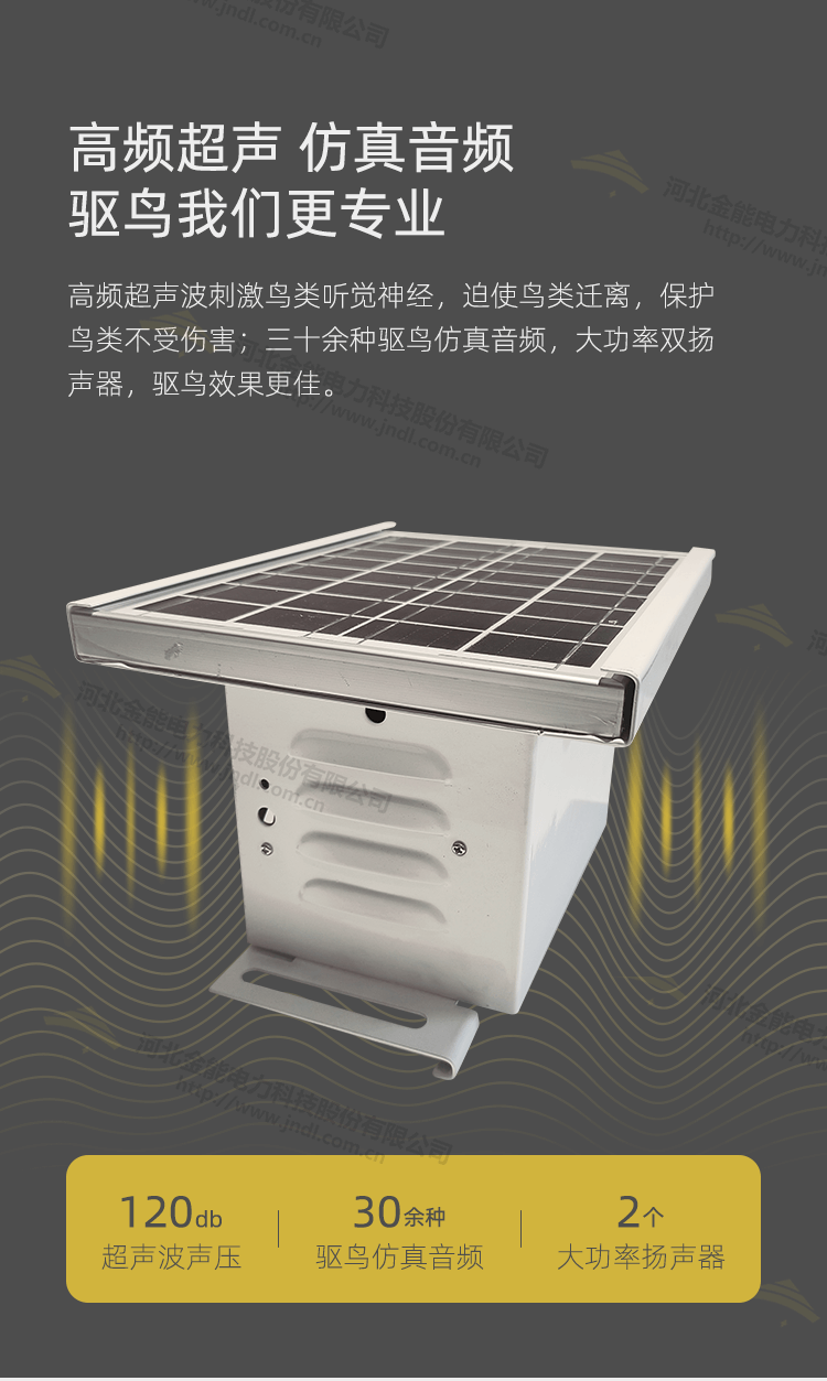 1-23122010462T20.png